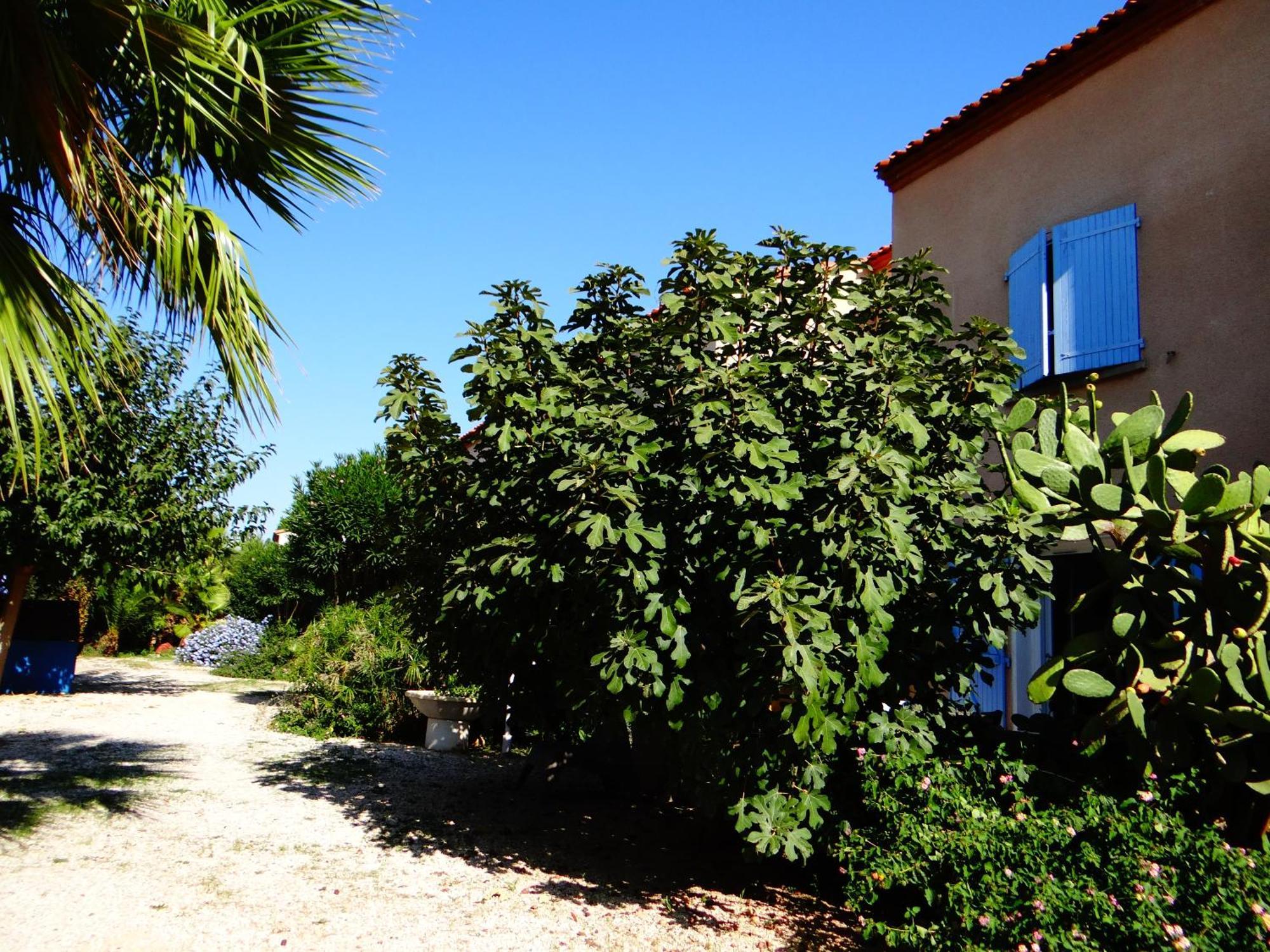 Residence L'Orangeraie-2-Claira 66530 Kültér fotó